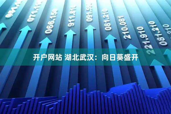 开户网站 湖北武汉：向日葵盛开