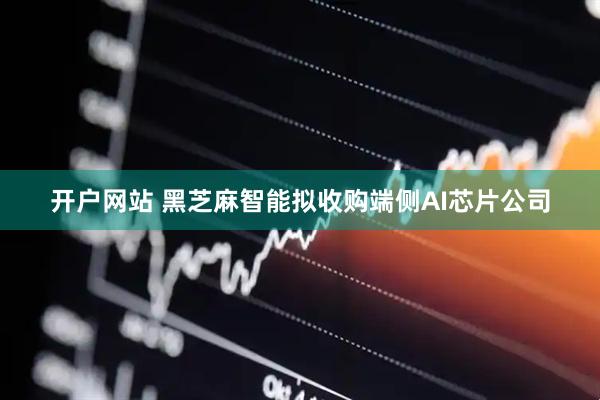 开户网站 黑芝麻智能拟收购端侧AI芯片公司